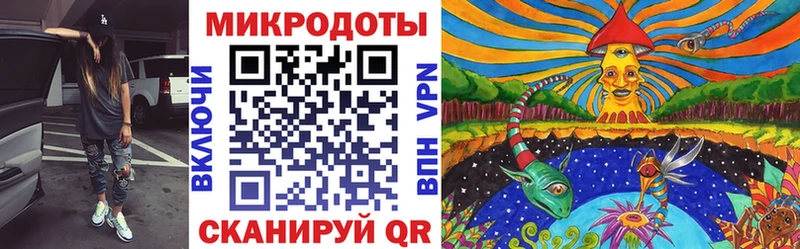 OMG как войти  Сусуман  Псилоцибиновые грибы мицелий 